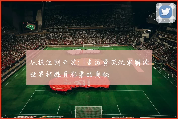从投注到开奖:专访资深玩家解读世界杯胜负彩票的奥秘