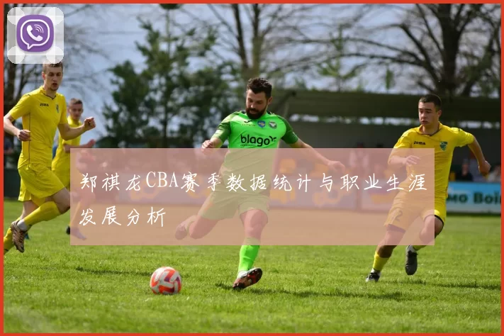 郑祺龙CBA赛季数据统计与职业生涯发展分析