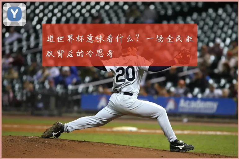 进世界杯意味着什么？一场全民狂欢背后的冷思考