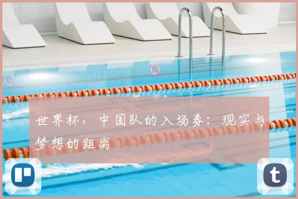 世界杯，中国队的入场券：现实与梦想的距离