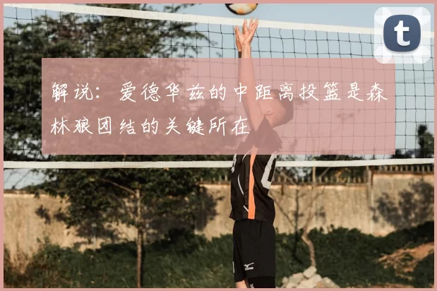 解说：爱德华兹的中距离投篮是森林狼团结的关键所在