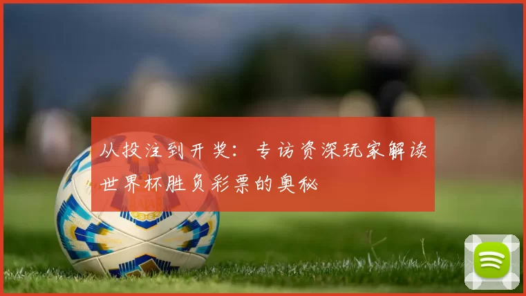 从投注到开奖：专访资深玩家解读世界杯胜负彩票的奥秘