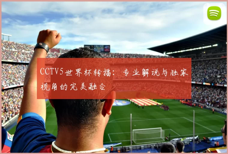CCTV5世界杯转播:专业解说与独家视角的完美融合