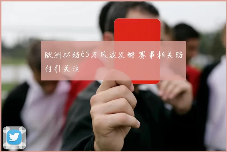 欧洲杯赔65万风波发酵 赛事相关赔付引关注