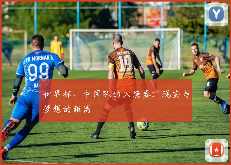世界杯,中国队的入场券:现实与梦想的距离