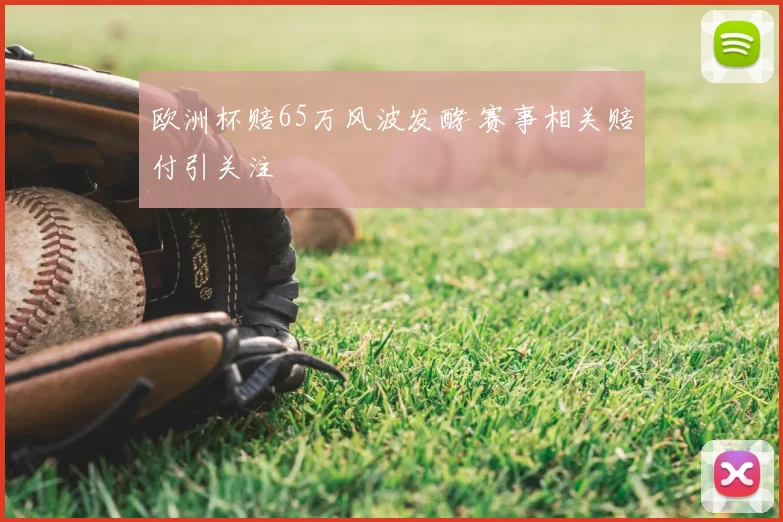 欧洲杯赔65万风波发酵 赛事相关赔付引关注