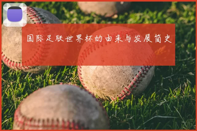 国际足联世界杯的由来与发展简史