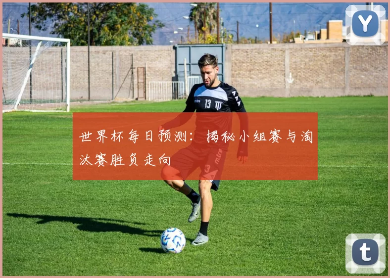 世界杯每日预测：揭秘小组赛与淘汰赛胜负走向