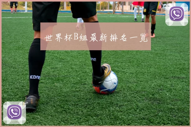 世界杯B组最新排名一览