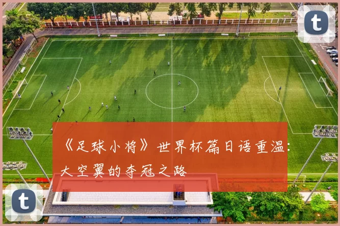 《足球小将》世界杯篇日语重温：大空翼的夺冠之路