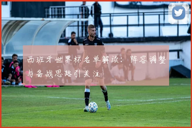 西班牙世界杯名单解读:阵容调整与备战思路引关注