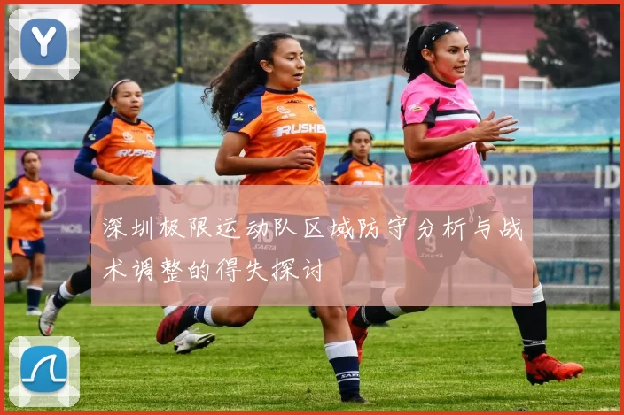 深圳极限运动队区域防守分析与战术调整的得失探讨