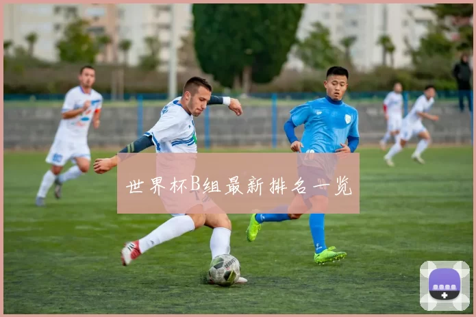 世界杯B组最新排名一览