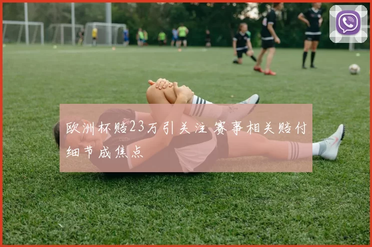 欧洲杯赔23万引关注 赛事相关赔付细节成焦点