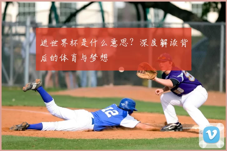 进世界杯是什么意思？深度解读背后的体育与梦想