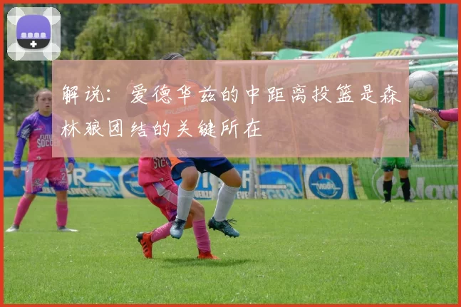 解说：爱德华兹的中距离投篮是森林狼团结的关键所在